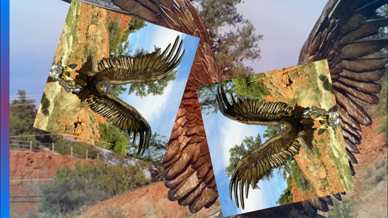 Аркадия бронзовая. Бронзовая птица в аркадии assassins creed odyssey. Плёнка пвх тадж p-355. Бронзовая птица в аркадии. Пленка пвх sbg.