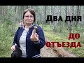 ДВА ДНЯ до отъезда из деревни.