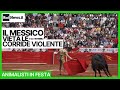 Città del Messico vieta le corride violente, esultano gli animalisti