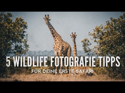 Video: 15 Dinge, Die Sie Wissen Sollten, Bevor Sie Ihre Erste Afrikanische Safari Fotografieren