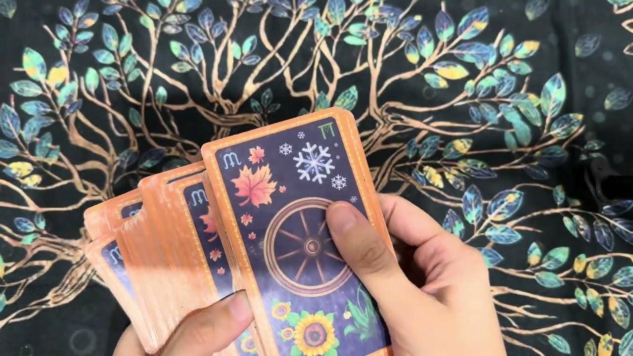 02.-08.02.2026 Апта жорамалы