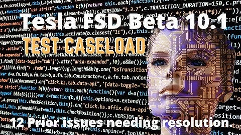 Tesla FSD Beta 10.1 caseload ▷12 prior issues needing resolution. Tesla pure vision beta testing