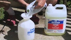 How to remove Algae, Moss & Mildew - 30 Seconds Cleaner Tutorial