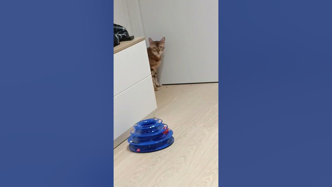 Такой пупсик😘🤗 - YouTube