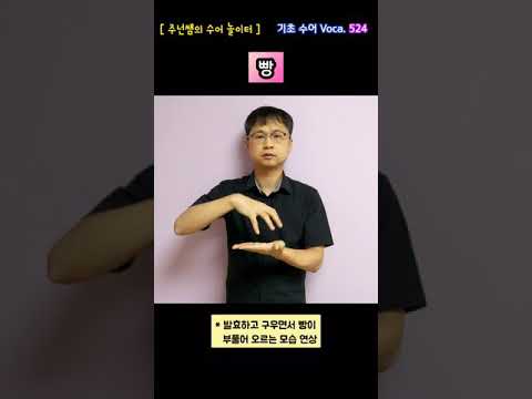 [ 기초 수어 Voca ] 524. 빵 - 수화배우기 [주넌쌤의 수어놀이터]