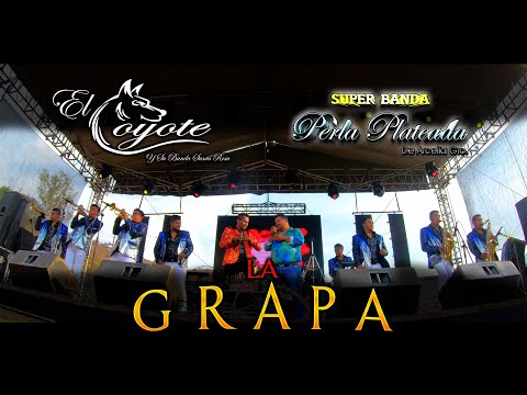 LA GRAPA Perla