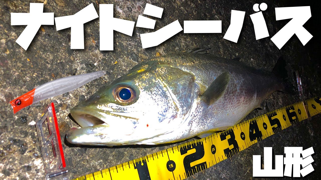 山形】ナイトシーバス釣行（カゲロウ124F） - YouTube