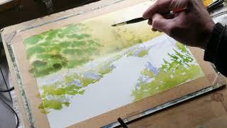 Colinsteedart. How to paint a Bluebell wood using watercolour