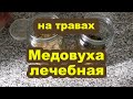 Медовуха. Лечебная. Медовая настойка на водке с травами