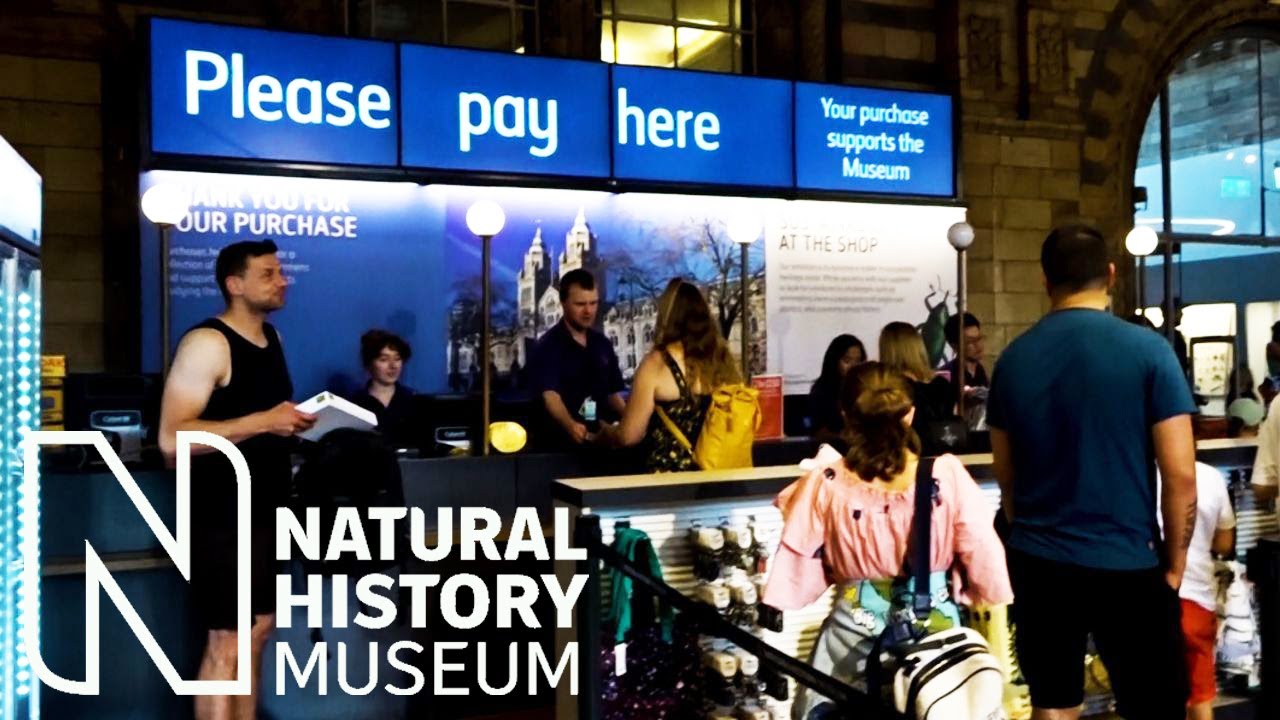 Natural History Museum Gift Shop & Lego Selection 2022 Steff Hanson YouTube