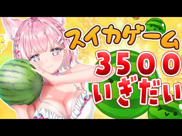 【スイカゲーム】3500点＆ダブルスイカい゛ぎだい゛・・・！！！！！！！【博衣こより/ホロライブ】のサムネイル