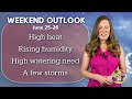 Weekend Weather and Garden Outlook 6/25/22