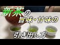 茶師流　新茶のおいしい淹れ方　～新茶の旨味・甘味の引き出し方～