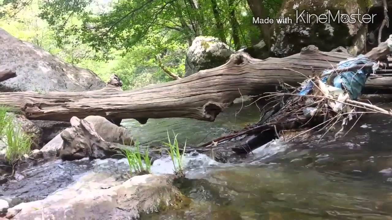 جيجل بلدية. بوراوي بلهادف