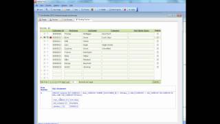 V11 Customizing SQL Insert Update and Delete Statements Part 3