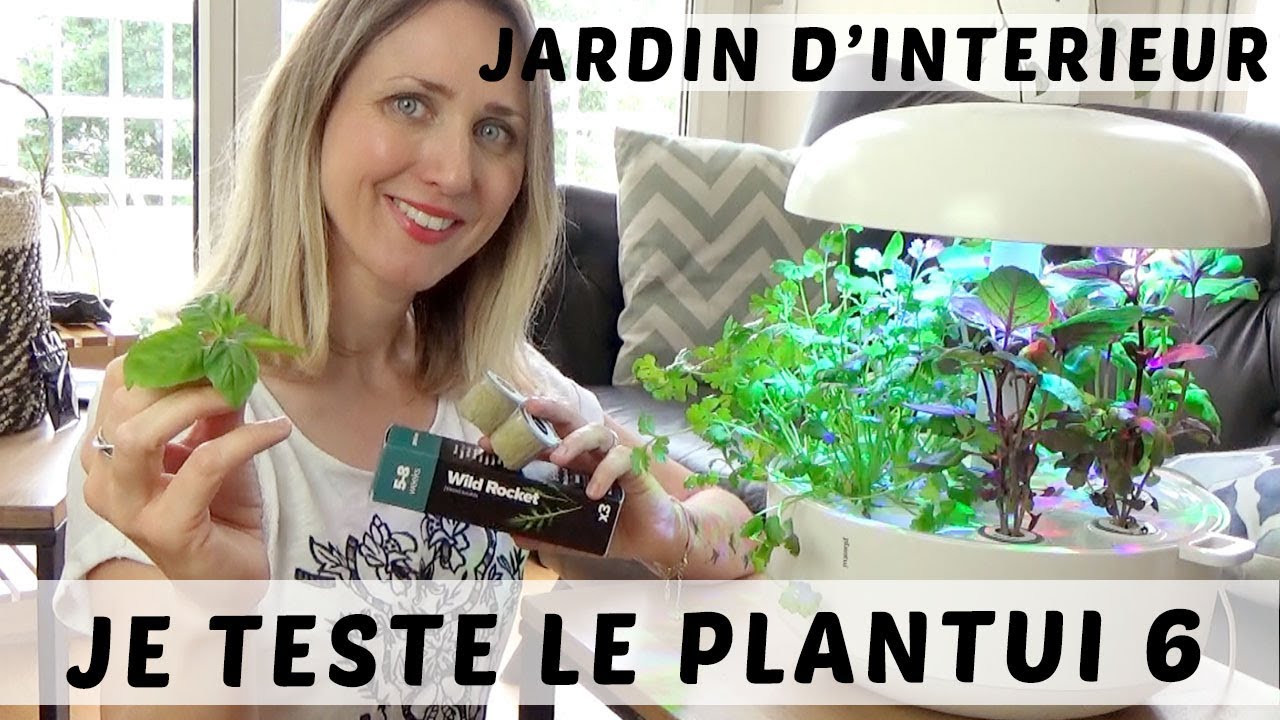 DIY potager d'intérieur : faire pousser des herbes fraiches dans