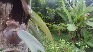 Download Lagu RITA SUGIARTO DANGDUT PALING LARIS FULL ALBUM  MP3