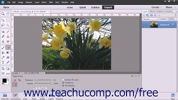 Photoshop Elements 13 Tutorial The Magic Eraser Tool Adobe Training