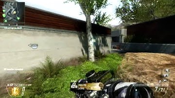 Black Ops 2 : across-map-combataxe-spawn-kill on Raid.