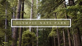 Overnight Camp | Day 1 | Olympic National Park