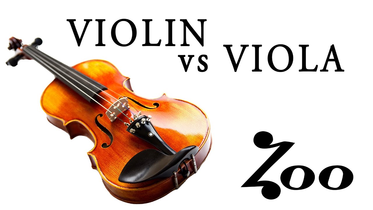 VIOLIN vs. VIOLA YouTube
