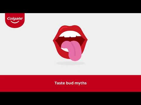 Common Myths & Facts About Your Taste Buds | Colgate® IN