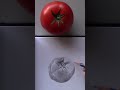 How To Draw A Tomato For Beginners 