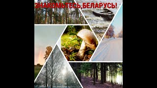 Уникальные места  Минская область, Беларусь