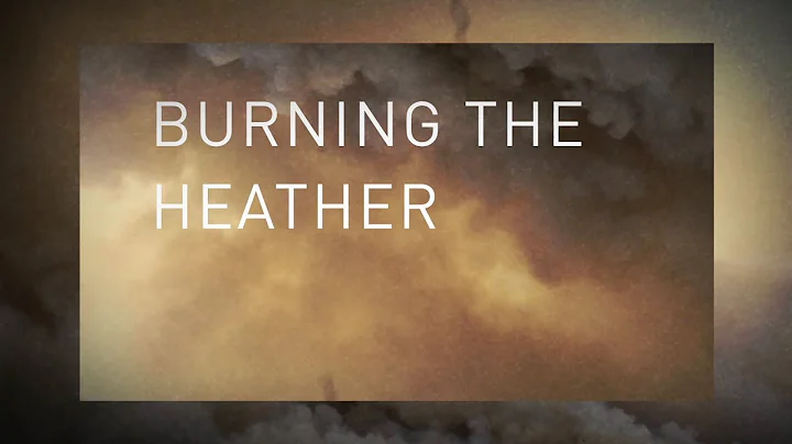 Pet Shop Boys - Burning the heather (radio edit) (...