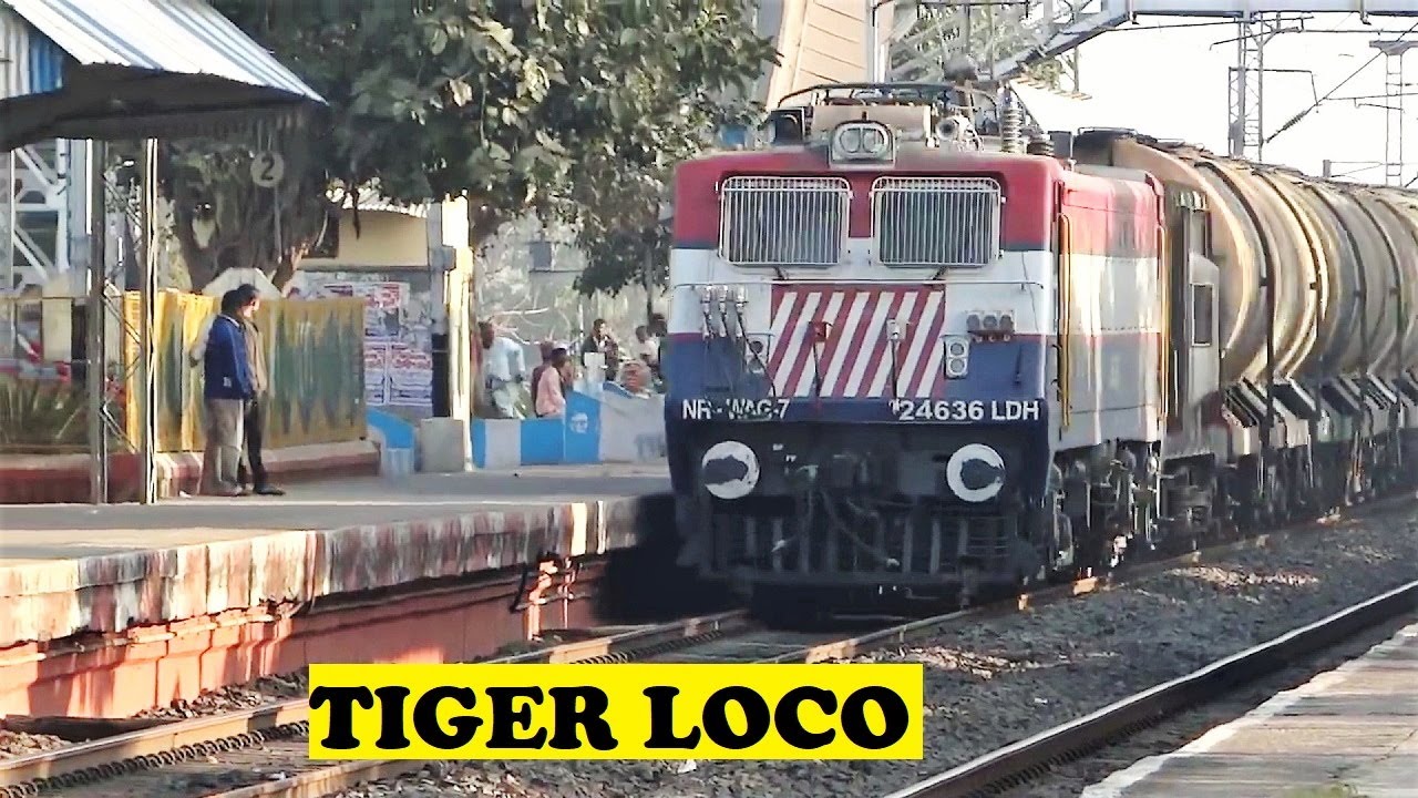 Tiger Face WAG7 Bogie Tank Petrol Naphtha Freight Honk, Rush