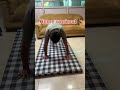 Ghar pe man nahi lagta #viral #funny