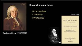 EvoBioCC Lecture on the Species Concept Evobiocc Lecture On Speciation