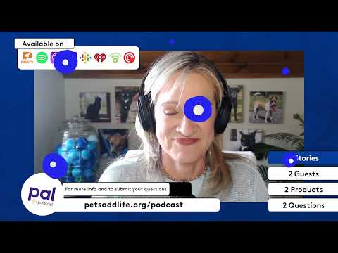 49. Paws, Hearts, and Breakthroughs – The Science of Connection and Training for a Better Pet Life