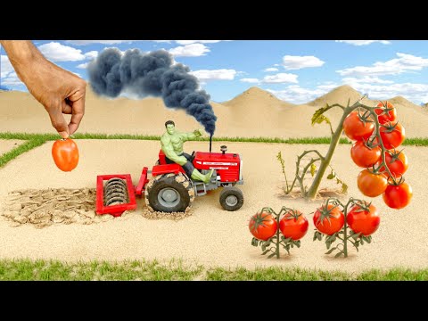 most creative scientific idea  is plowing the land to grow tomatoes 