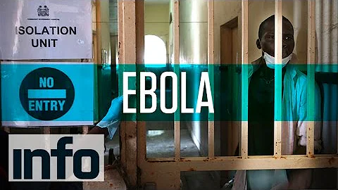 Como ocorre a contaminação do vírus ébola?