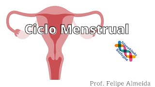 Ciclo menstrual - prof. Felipe Almeida #shorts