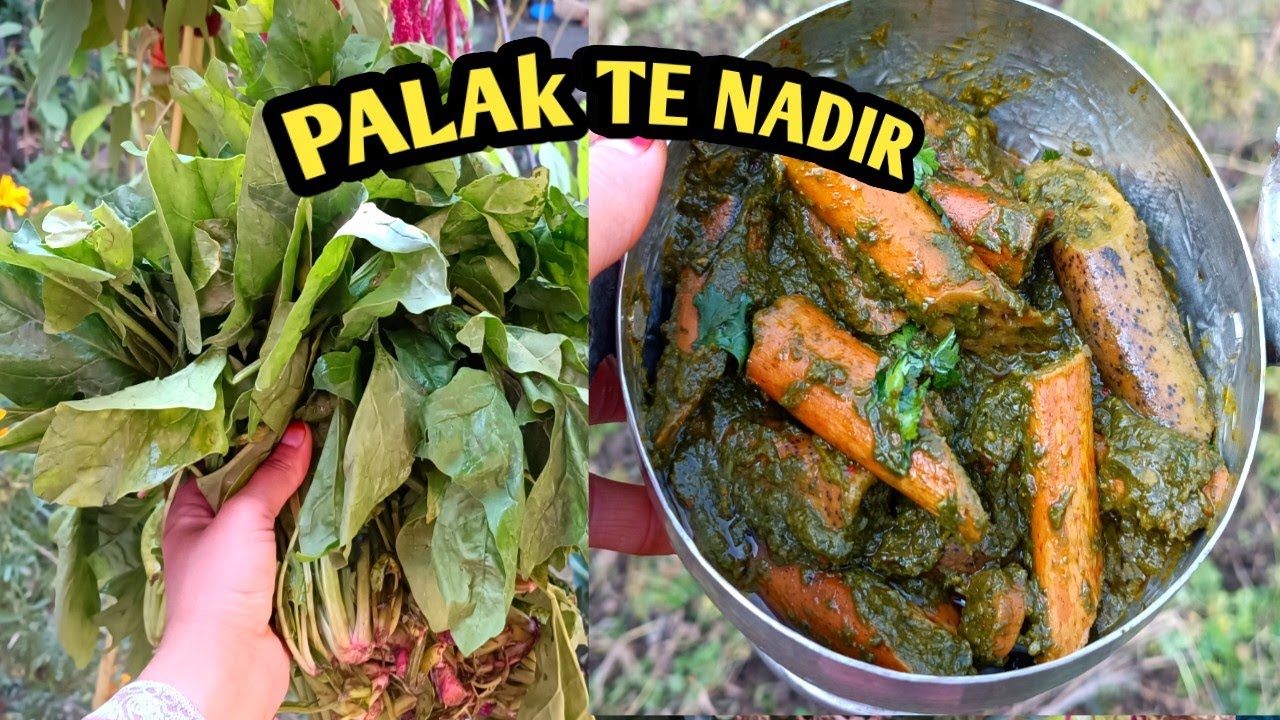 Nadir Te Palak Recipe || Kamal kakdi aur Palak || kashmiri style Nadru aur  Palak recipe
