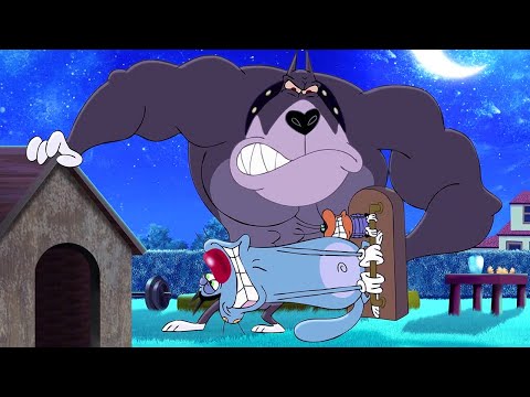 Oggy And The Cockroaches A New Friend BEST CARTOON COLLECTION New Episodes In HD 