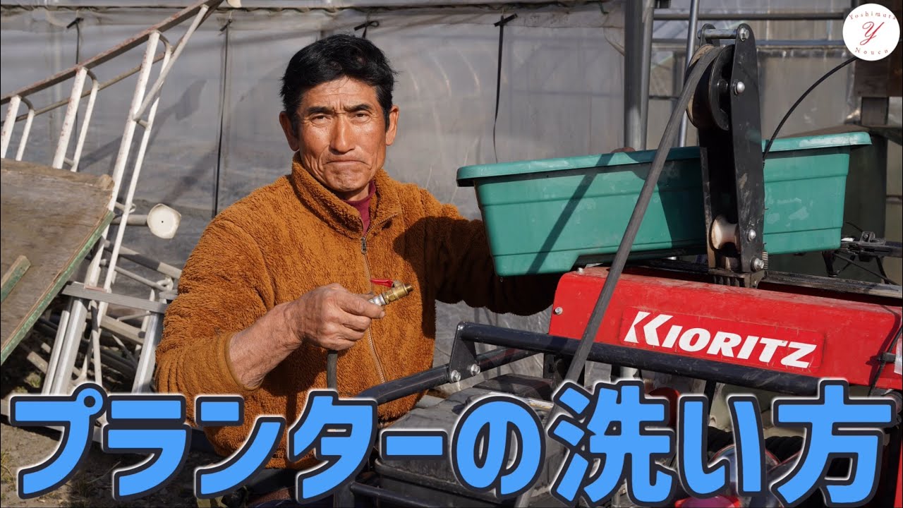 【いちご栽培】育苗期に使用するプランターの洗い方