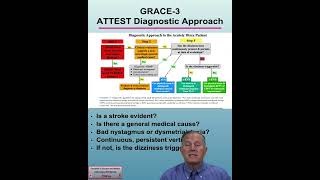 47 What are the ATTEST vertigo patient diagnostic algorithm questions in the GRACE 3 guidelines?