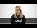 How to pronounce SEAL in British English