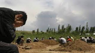 BIR KELINCHAK QISMATI