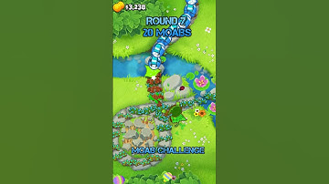 MOAB Challenge Round 7 - 2-5-0 Druid Monkey