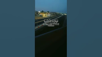 تلاوة خاشعة تأسر القلوب 🕊️