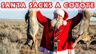 Hunting Coyotes in a Santa Suit