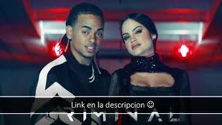 Natti Natasha - Criminal ( descargar)