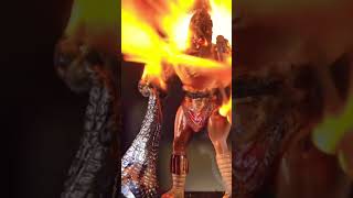 Gas torch vs Gladiator