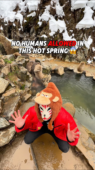 No Humans allowed in this Japanese Hot Spring! 😱