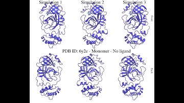 Molecular dynamics simulation of SARS-CoV-2 main protease monomer - No ligand