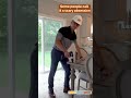 Builder